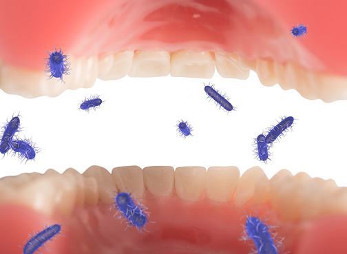 Bacteria on Gums
